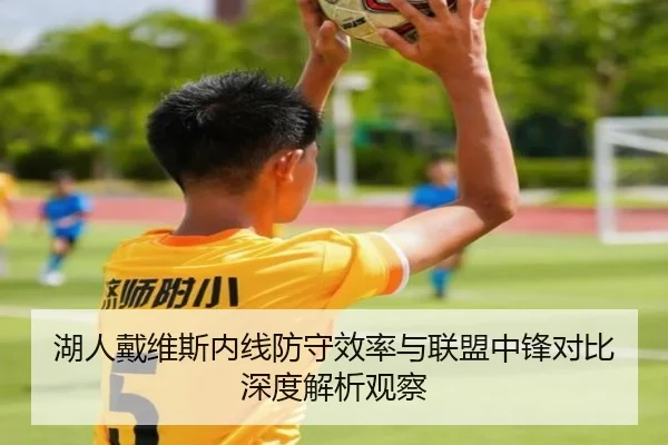 湖人戴维斯内线防守效率与联盟中锋对比深度解析观察